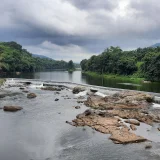 Ezhattumugham Dam And Thumboormuzhi Hanging Bridge Ernakulam 